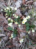 20180407_100032