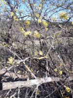20180407_100139