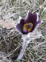 20180407_100541