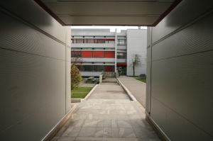 IMG_7144_24