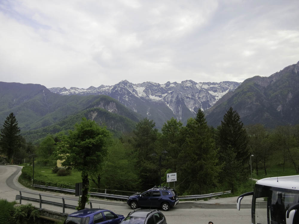 IMG 0984133831